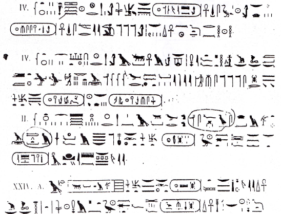 1463856154 896 261606 2