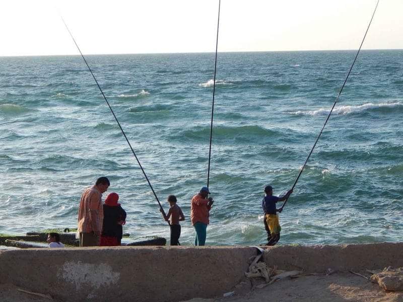 1530728325 982 68619 received 1731690763594429