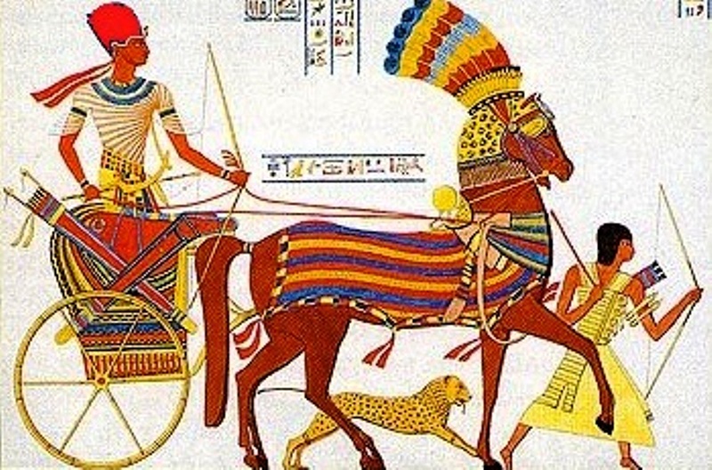 1540734140 732 186985 chariot19