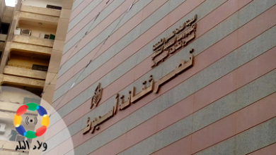 نادي أدب أبنوب