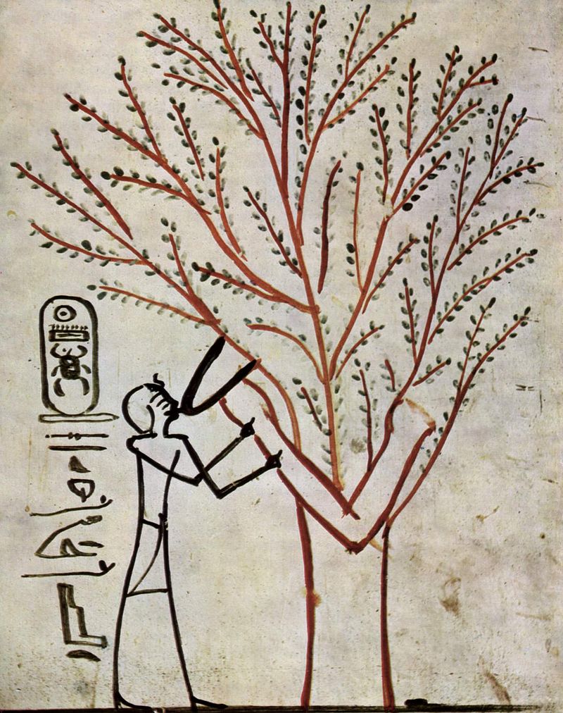 1555770394 909 186357 800pxmaler der grabkammer des thutmosis iii. 001