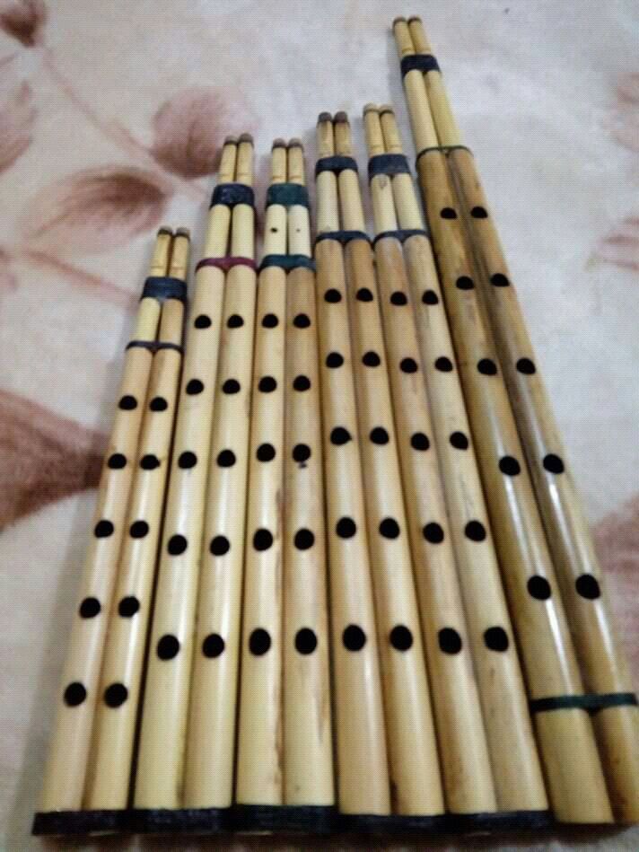 1560791145 719 93418 64482359 386720038623472 2771463695128068096 n
