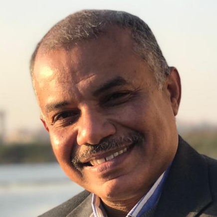 الفنان أحمد سليم
