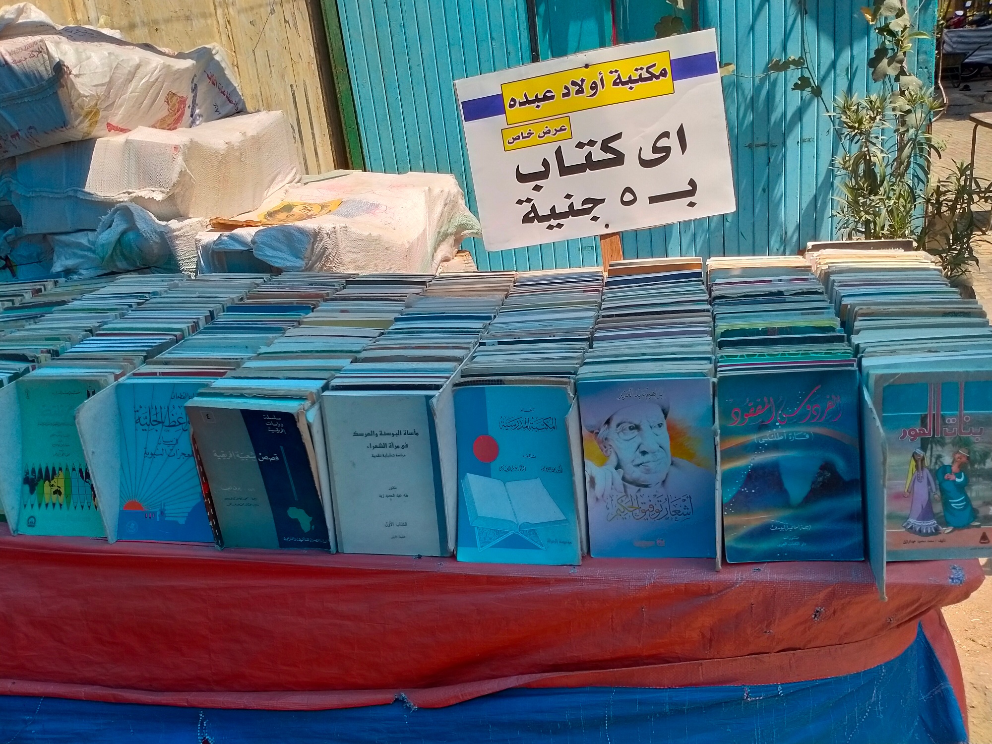 كتب في سور الازبكية 1