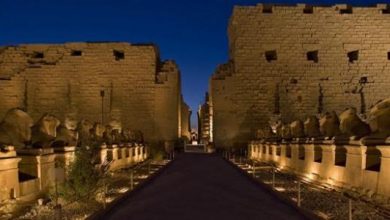 كباش المدخل الرئيسى
