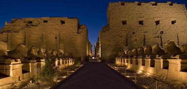 كباش المدخل الرئيسى