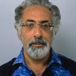 Egyptian N – 2011