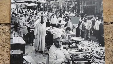 حلقة السمك قديما مشروع توثيقي لمؤسسة راقودة
