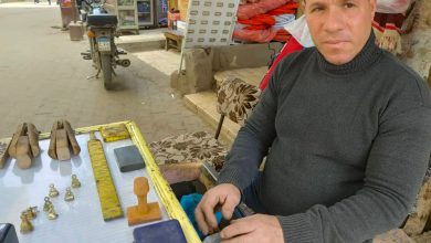 280096418 953806815264130 405434025807392916 n