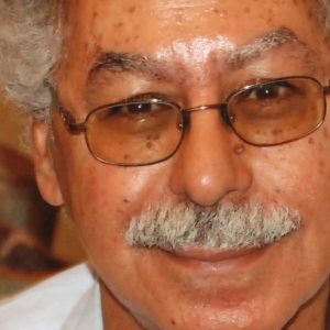 فكري حسن