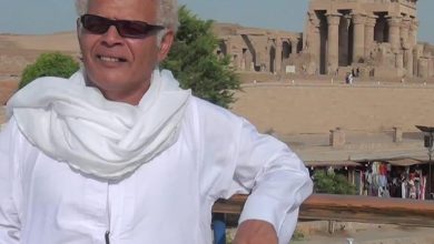 ناصر النوبي 0