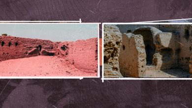 رئيسي شيخ العرب همام scaled