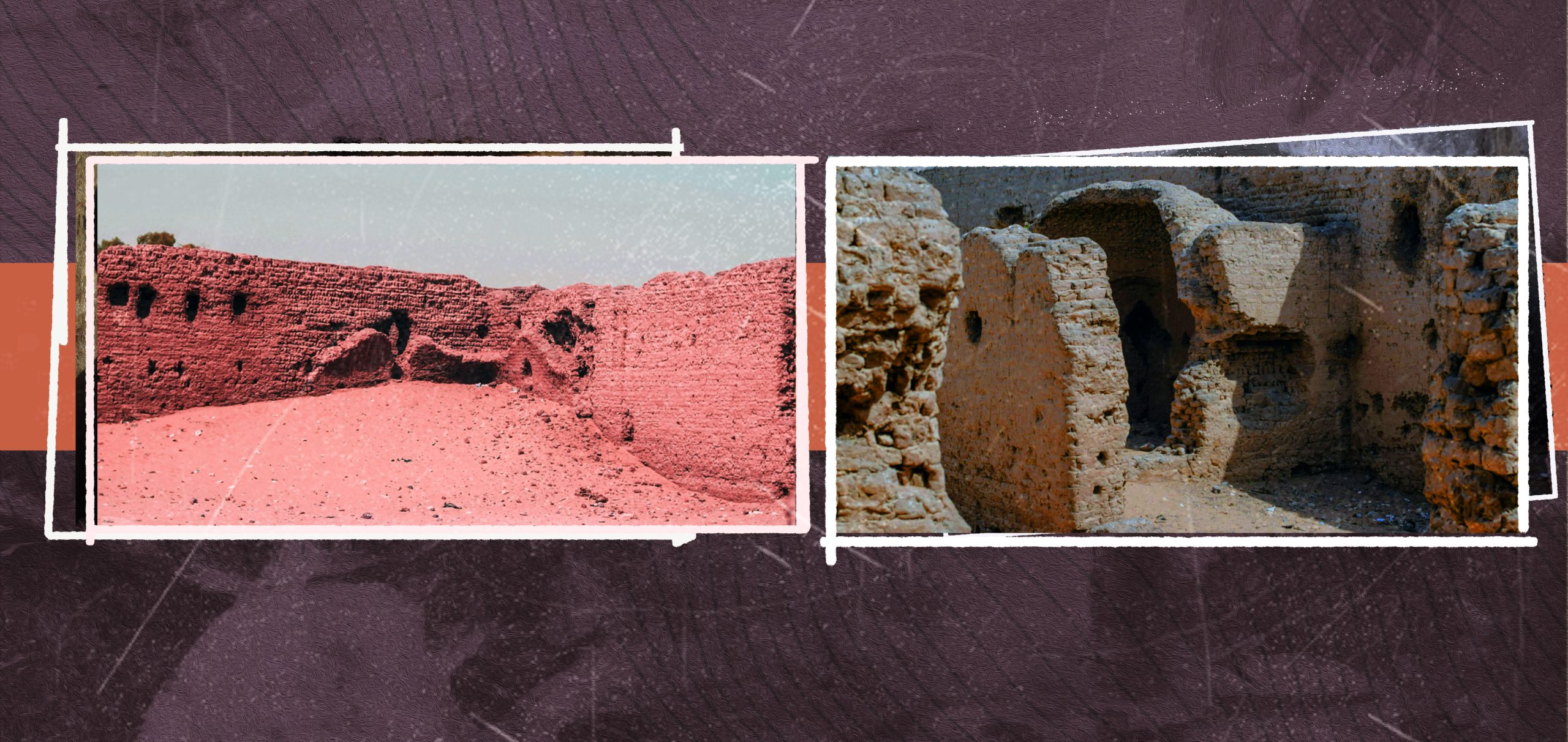 رئيسي شيخ العرب همام scaled