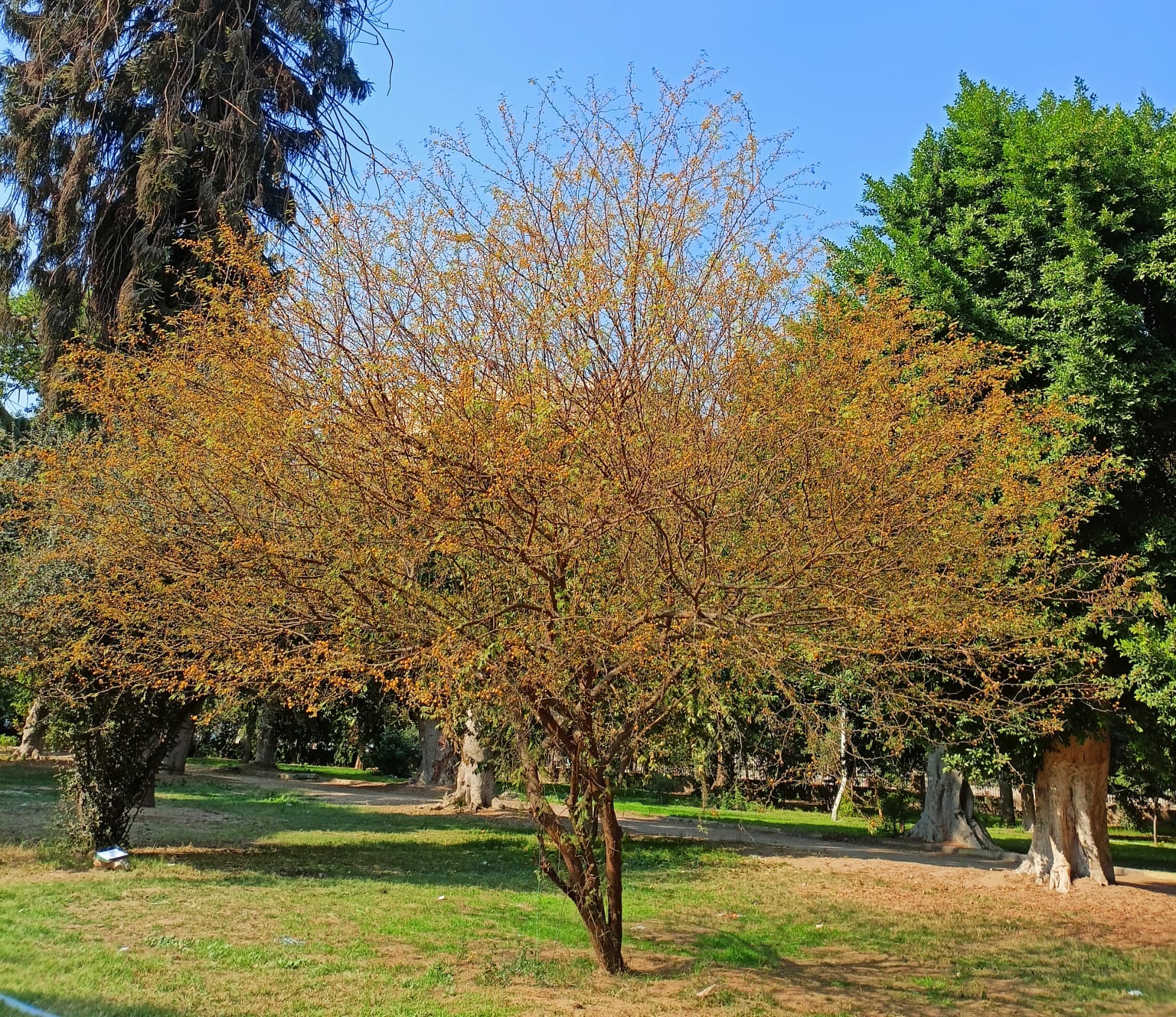 IMG 20230215 WA0006