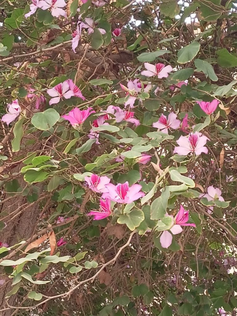 IMG 20230215 WA00151