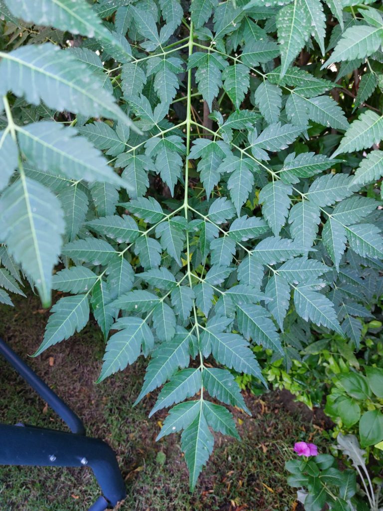 IMG 20230228 WA0071