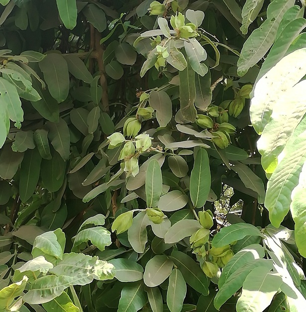 IMG 20180915 132658 2