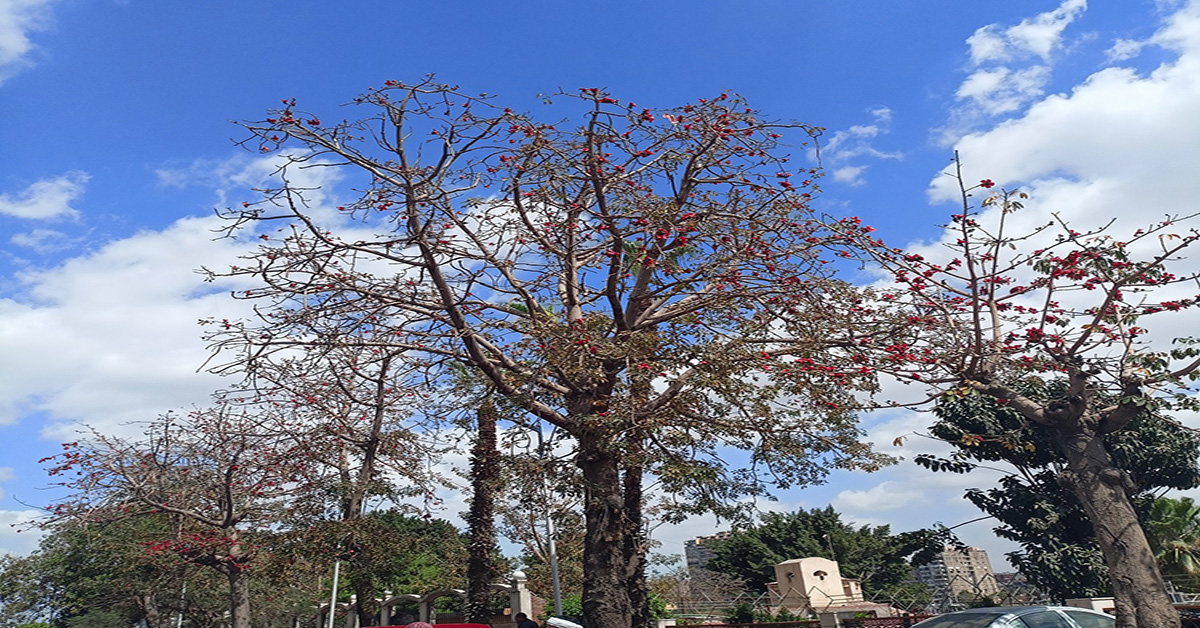 IMG 20230316 030144