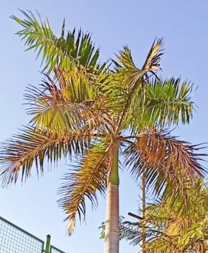 IMG 20230417 163547 1