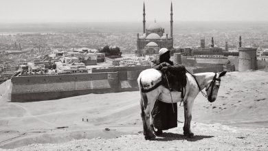 القاهرة من أعلى جبل المقطم 1099 1920 1 1