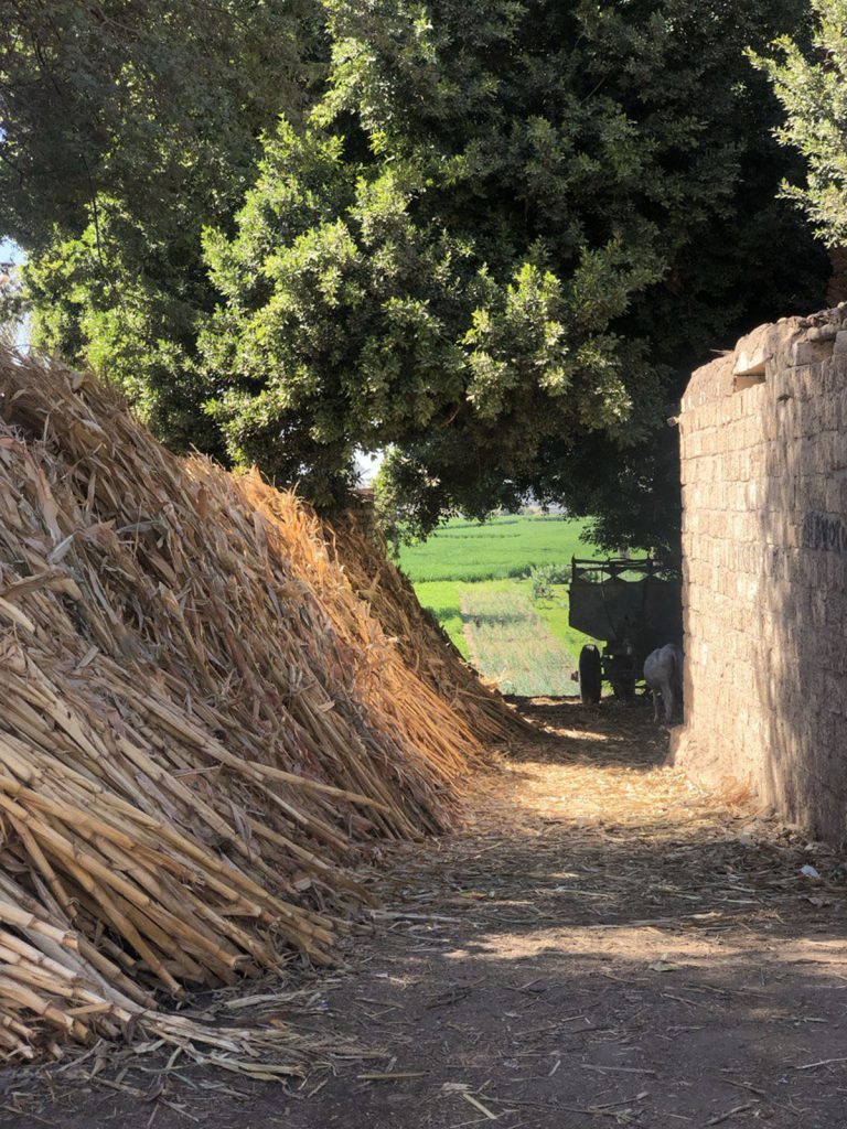 photo 2024 01 17 20 41 07