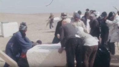 فيلم 55