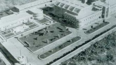 pio 6