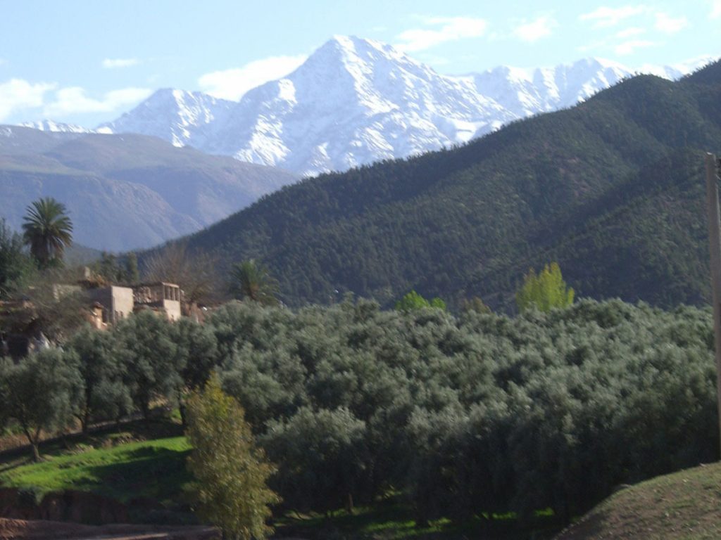 AtlasMfromOurika 1