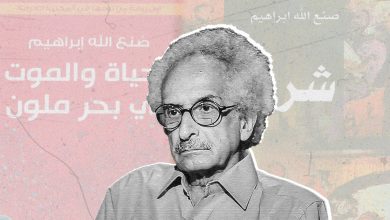 sonallah ibrahim2