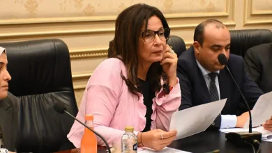 WhatsApp Image 2026 02 11 at 13.13.00